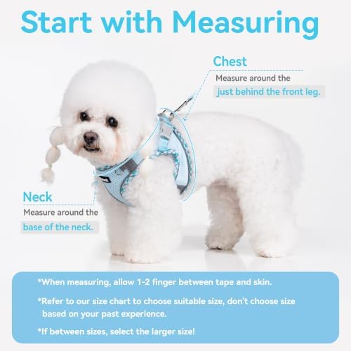 Petank Step in Dog Harness No Pull and Leash for Small Medium Dogs Cats. - Image 4