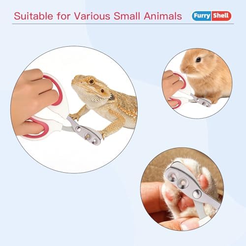 Professional Stainless Steel Bearded Dragon Nail Clippers and File - Perfect Pet Grooming Tool for Bearded Dragon, Lizard,Turtle,Chameleon - Reptile Care Supplies - Image 7