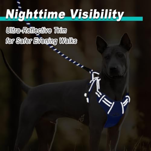 BARKBAY Dog Harness for Large Dog No Pull Mesh 2 Clips Dog Vest - Image 5
