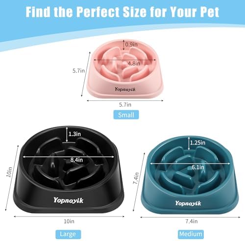 Slow Feeder Dog Bowls for Large Dogs - Image 2