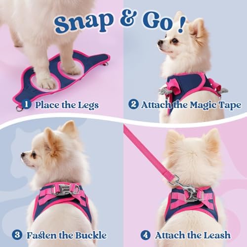 rabbitgoo Dog Harness Small Sized and Leash Set, Step in Soft Vest - Image 2