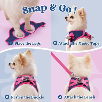 rabbitgoo Dog Harness Small Sized and Leash Set, Step in Soft Vest - Image 2