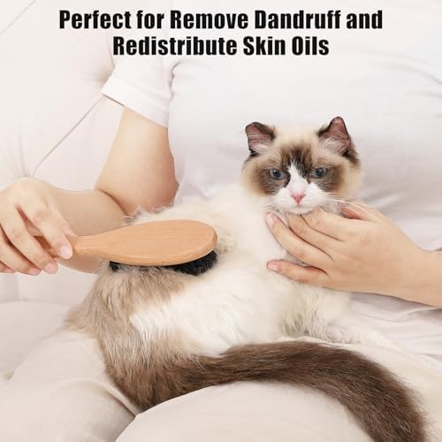 Boar Bristle Cat Brush with Wooden Handle, Soft and Gentle, Reduce Shedding, Make Coat Soft, Smooth and Shinny, Daily Grooming Tool for Short Haired Cats, Kitten - Image 3