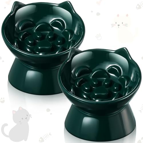 Funnymoom 2 Pcs Ceramic Raised Slow Feeder Cat Bowl, 5.91inch Elevated Cat Slow Feeder Bowl Tilted Anti Vomiting for Dry Wet Food and Water Easy to Clean High Edge(Dark Green) by Funnymoom