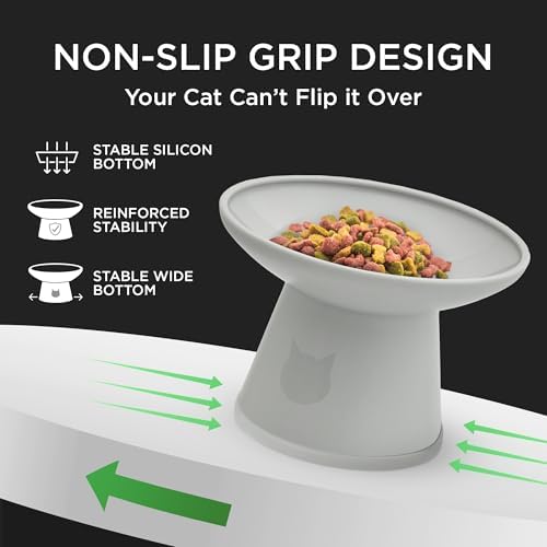 Necoichi BPA-Free Extra-Wide Elevated Cat Food Bowls, 2-Pack (Urban Fog) - Image 5