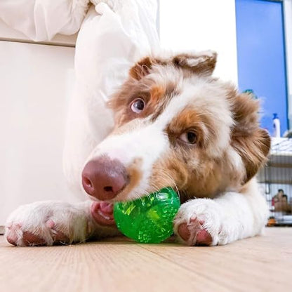 Hyper Pet DuraSqueak Dog Ball Toys (Interactive Toy that Float & Squeak) Squeaky Toys & Dog Balls for Playing, Fetching & Retrieving-Great Alternative to Traditional Tennis Balls-3.5" - Image 5