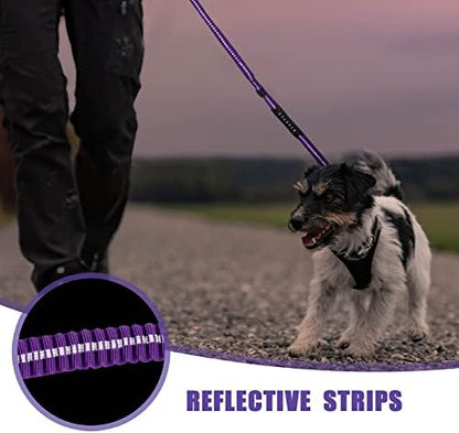 Raipult Tactical Shock Absorbing Bungee Dog Leash Heavy Duty, 4-6ft, Purple - Image 6