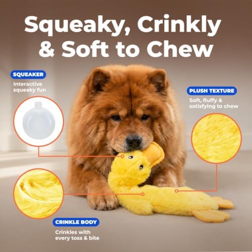 Best Pet Supplies Interactive Squeaky Dog Toy - Crinkle Duck, Yellow - Image 3