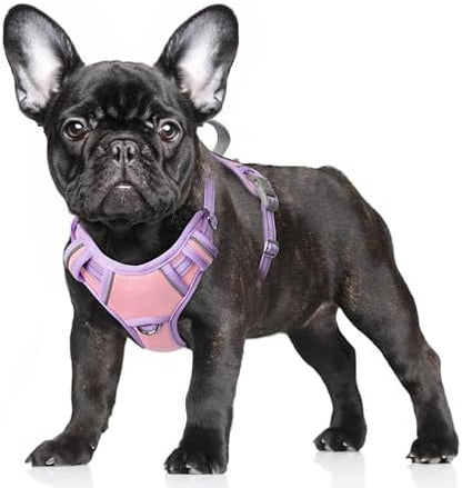 BARKBAY Dog Harness for Small Sized Dog No Pull Dog Vest ID Tag Pocket by BARKBAY