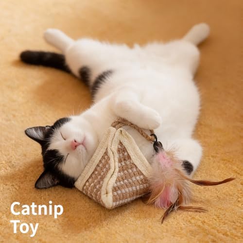 PAZ'S GIFT Cat Toy with Organic Catnip,Feathered Soft Sisal Material, Interactive Scratching and Kicking Chew Toy for Indoor Kittens - Image 6