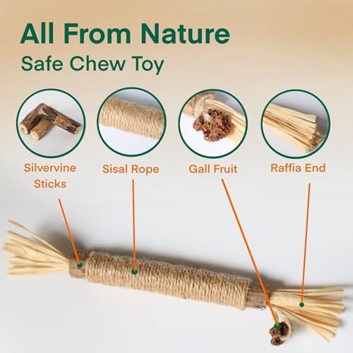 8.66 inches Silvervine Sticks Cat Toys, Natural Catnip Kittens Chew Toy for Teeth Cleaning,Big Catmint Blend Stick, Dental Kitty Chews for Indoor(5 Pack) - Image 3