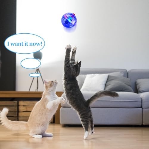 Frienda 4 Pcs Light up Cat Ball LED Motion Ghost Hunting Cat Ball(Clear) - Image 6