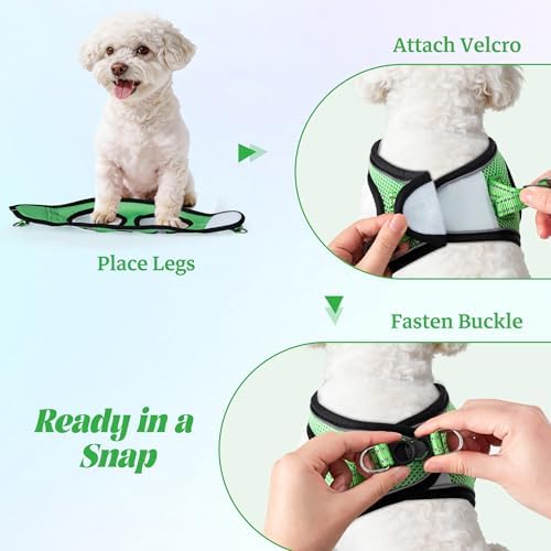 No Pull Dog Puppy Harness and Leash Set Reflective Mesh Vest XX-Small - Image 4