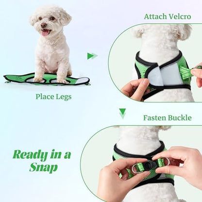 No Pull Dog Puppy Harness and Leash Set Reflective Mesh Vest XX-Small - Image 4