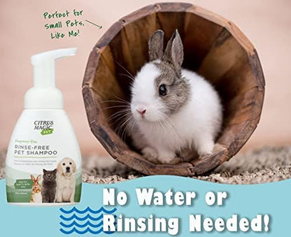 Citrus Magic Pet Rinse-Free Pet Shampoo, 8 Fluid Ounce, 2 Pack - Image 5