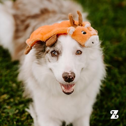 ZippyPaws Squeakie Crawler No Stuffing Dog Toy to Keep Them Busy - 10" - Image 6