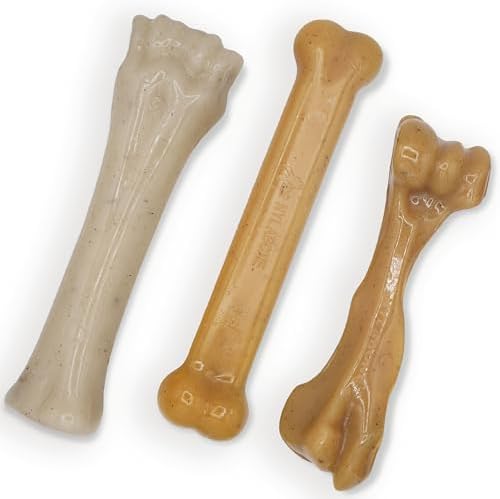 Nylabone Strong Chew Gourmet Style Dog Chew Toy Bundle, Large, 3 Count by Nylabone