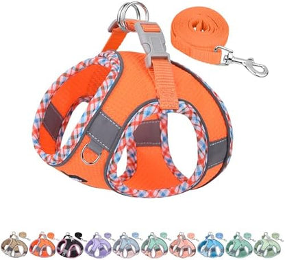 AIITLE Medium Dog Harness and Leash Set with Breathable Mesh, Orange M by AIITLE-FORPETSBETTERLIFE