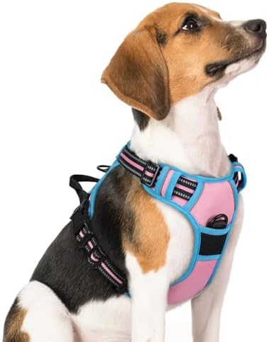 rabbitgoo Dog Harness, No Pull Medium Sized with 2 Leash Clips, Pet Vest by rabbitgoo