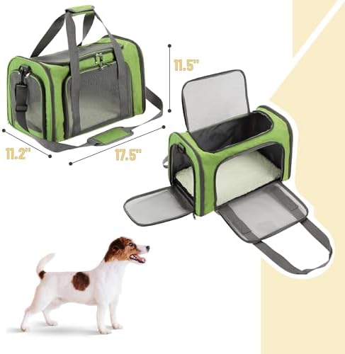 Mr. Pen- Pet Carrier, 17.5" x 11.2" x 11.5", Medium Size, Green - Image 2