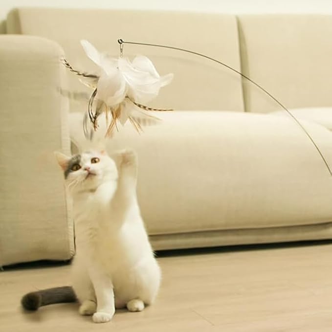 Cat Toy Wand Interactive Toys for Indoor Cat 6 in 1 Natural Bird Feather Ball Toys Pet Dancing Playing Kitten Cat Having Fun Exerciser Toy 3 Wands and 3 Assorted Teaser Refills