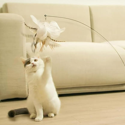 Cat Toy Wand Interactive Toys for Indoor Cat 6 in 1 Natural Bird Feather Ball Toys Pet Dancing Playing Kitten Cat Having Fun Exerciser Toy 3 Wands and 3 Assorted Teaser Refills