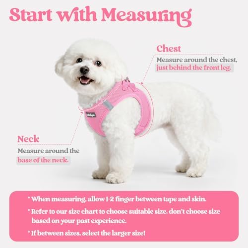 rabbitgoo Dog Harness Medium Sized and Leash Set, Step-in Puppy Pet Vest - Image 2