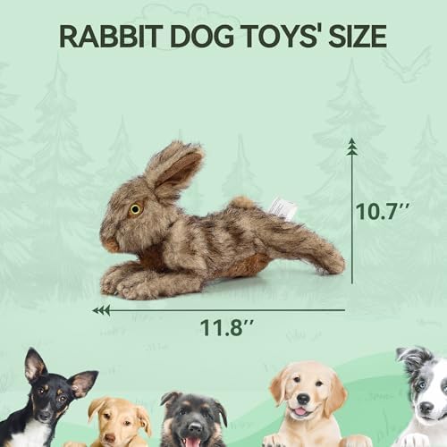 ALL FOR PAWS Brown Rabbit Pet Plush Toys, Dog Squeaker Toy, Large - Image 2