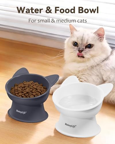 MateeyLife 2 Pack Elevated Cat Food Bowls for Indoor Cats & Kittens - Image 3