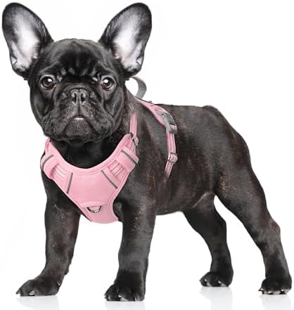 BARKBAY Dog Harness for Small Sized Dog No Pull Dog Vest ID Tag Pocket by BARKBAY