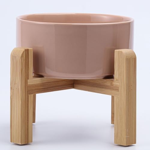 Petygooing Khaki Elevated/Raised Ceramic Dog Bowl for Small Breeds, Dog Food Water Dish with Stand,Pet Feeding Bowl with Anti Slip Rubber for Cats and Small Dogs Puppy 13.5 OZ (5.1In / 1.7 Cups) by PetygooingforYOURLOVEDPET