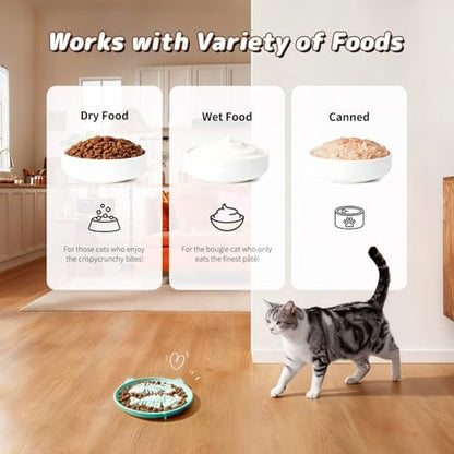 Slow Feeder Cat Bowl, 2 PCS Silicone Bowl, Cat Slow Feeder, Ideal for Dry and Wet Food, Easy to Clean, Interactive Puzzle Toy for Pets Food Training, Keeps Cats Busy, 6.69" W*0.65" H - Image 4