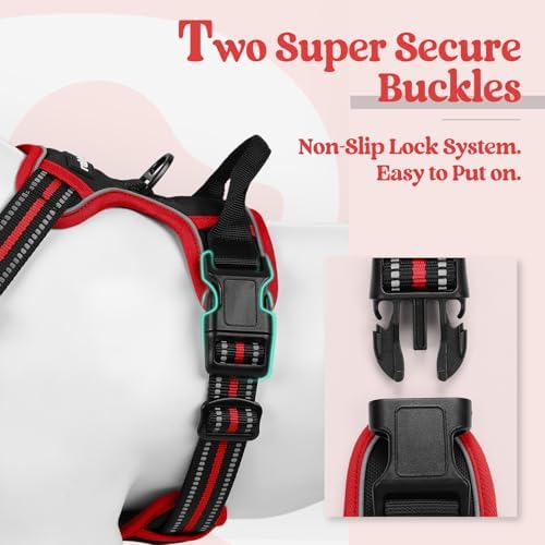 rabbitgoo Dog Harness, No Pull for Large Dogs with 2 Leash Clips, Pet Vest - Image 3