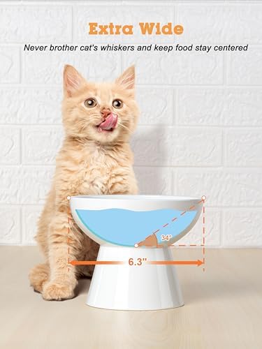 LoeJan Elevated Cat Food and Water Bowls Set, Extra Wide and Raised Ceramic Bowls, Anti-Vomit Whisker-Free Pressure Cat Feeder for Kittens to Adult Cats and Small Dogs (White, Water Bowl) - Image 6