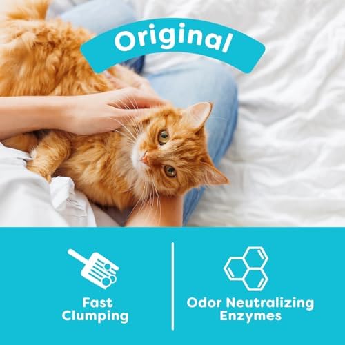 sWheat Scoop Natural Wheat Cat Litter, Original, Fast Clumping with Odor Neutralizing Enzymes, 25 Pound Bag - Image 4