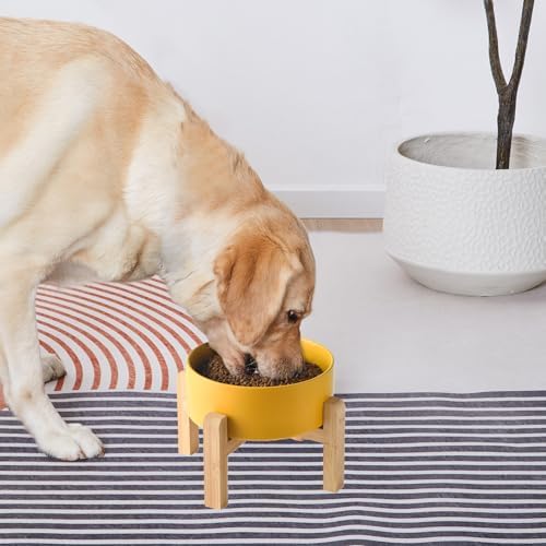 6'' Ceramic Raised Dog Bowl - 30Oz Dog Food & Water Bowl with Elevated Non-Slip Bamboo Stand, Dishwasher & Microwave Safe, Anti Vomiting Heavy Duty Pet Bowl for Small and Medium Dogs, Yellow - Image 5