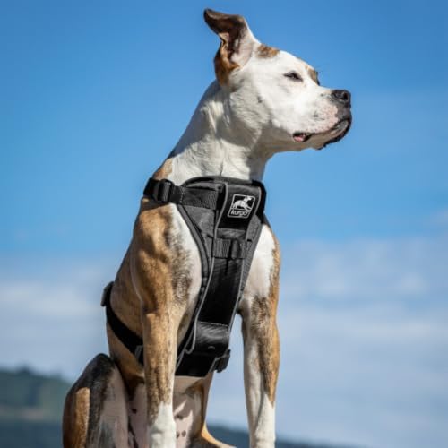 Kurgo Tru-Fit Smart Harness, Black, Large - Image 3