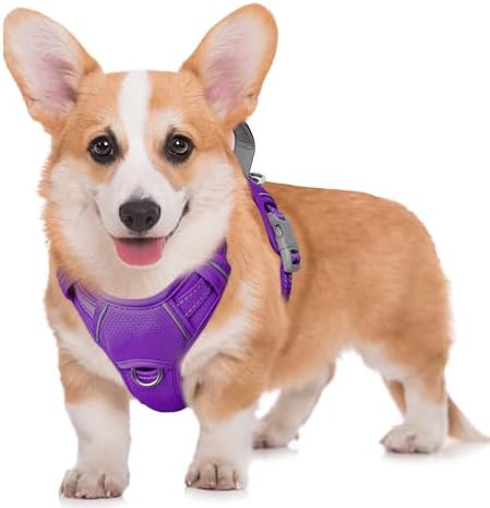 BARKBAY No Pull Dog Harness Large Reflective Dog Harness with Front Clip and Easy Control Handle for Walking Training Running with ID tag Pocket(Purple,M) by BARKBAY