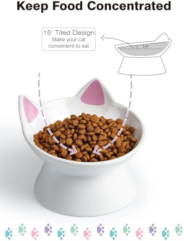 ABRUTY Cat Food Bowl, 5 OZ Ceramic Elevated Kitten Water Bowl, 15° Tilted Raised Pet Feeder, Anti Vomiting and Whisker Friendly Dishes for Fat Faced, Cat, Kitten, Small Dog - Image 7