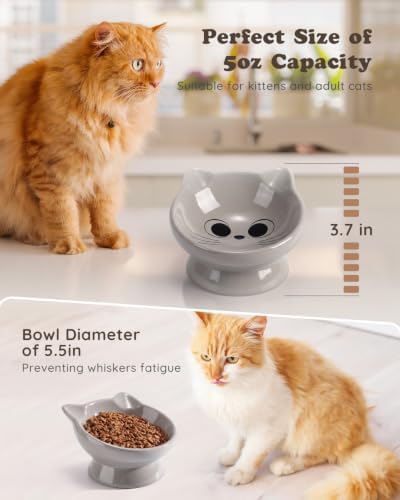 Raised Cat Food Bowl Ceramic 15° Tilted Cat Food Bowls Protect Cat's Spine Anti Vomiting Backflow Prevention Bowls for Adult Kitty, Kitten, and Small Dogs, Grey - Image 5