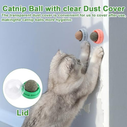 CCINEE 6PCS Catnip Balls for Cats Wall Catnip Toys Edible Cat Toys for Cat Lick Safe Healthy Kitten Chew Toys Teeth Cleaning Dental Cat Toys - Image 7