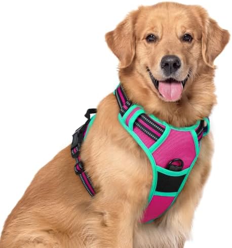 rabbitgoo Dog Harness, No Pull for Large Dogs with 2 Leash Clips, Pet Vest by rabbitgoo
