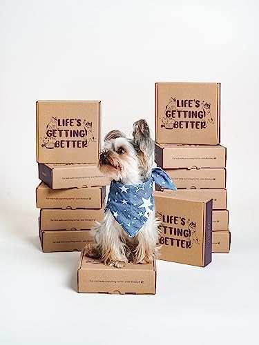 LE TAUCI PET Ceramic Slow Feeder Dog Bowls Small Breed, 0.5 Cups Dog Food Dish for Fast Eaters, Puzzle Bowl for Small Dogs and Cats, 5.5 Inch-Blue - Image 5
