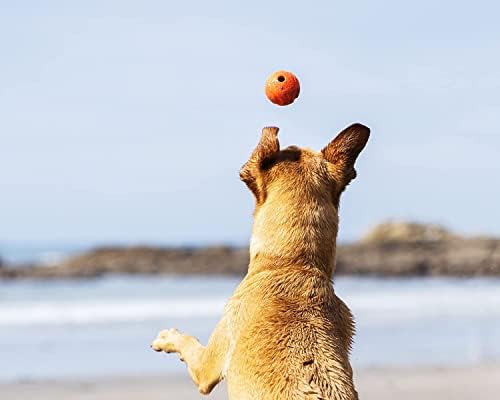 ChuckIt! High-Bounce Rubber Fetch Ball, Small (Colors Vary) 2 Pack - Image 4