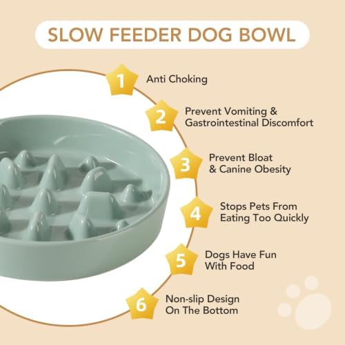 Havniva Ceramic Slow Feeder Dog Bowls, 8.3 in Slow Feeder for Medium Breed - Image 6