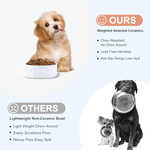 SPUNKYJUNKY Ceramic Dog and Cat Bowls 2 Pack, 5.1'' Dog and Cat Food Water Double Feeding Bowls Non-Slip for Cats and Puppy Small Sized Breed Dogs Microwave Dishwasher Safe - 13.5 OZ, 2pcs, Paw White - Image 3