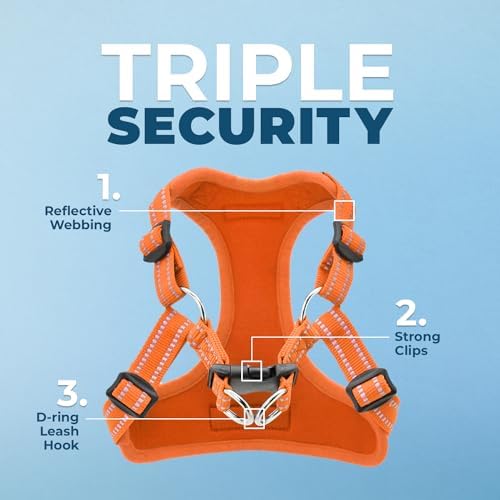 Voyager Step-in Flex Adjustable Dog Harness - Orange, Medium - Image 2