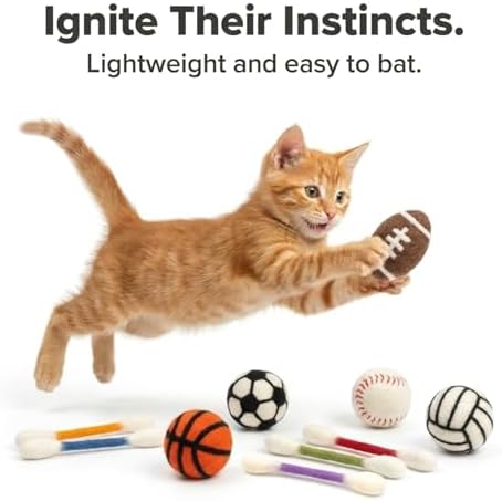 Glaciart One Cat Qtip Toy Set, 5 Pcs Wool Felt Cat Sport Balls (1.5 Inch) & 6 Pcs Cotton Swab Cat Toys, Natural Wool Cat Toys for Indoor Cats - Image 2