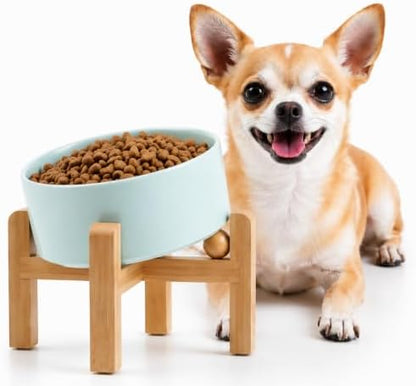 Petygooing Raised/Elevated 15°Slanted Ceramic Dog Bowl for Small Breeds,Tilted Anti Slip Pet Bowl,Food Water Dish with Stand for Cats and Small Dogs Puppy 13.5 OZ (5.1In / 1.7 Cups) Blue Sky by PetygooingforYOURLOVEDPET