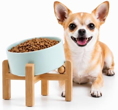 Petygooing Raised/Elevated 15°Slanted Ceramic Dog Bowl for Small Breeds,Tilted Anti Slip Pet Bowl,Food Water Dish with Stand for Cats and Small Dogs Puppy 13.5 OZ (5.1In / 1.7 Cups) Blue Sky by PetygooingforYOURLOVEDPET